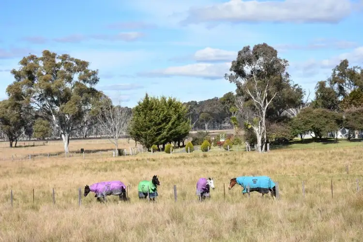 Second view of Homely rural property listing, 849 New England Highway, Glen Innes NSW 2370