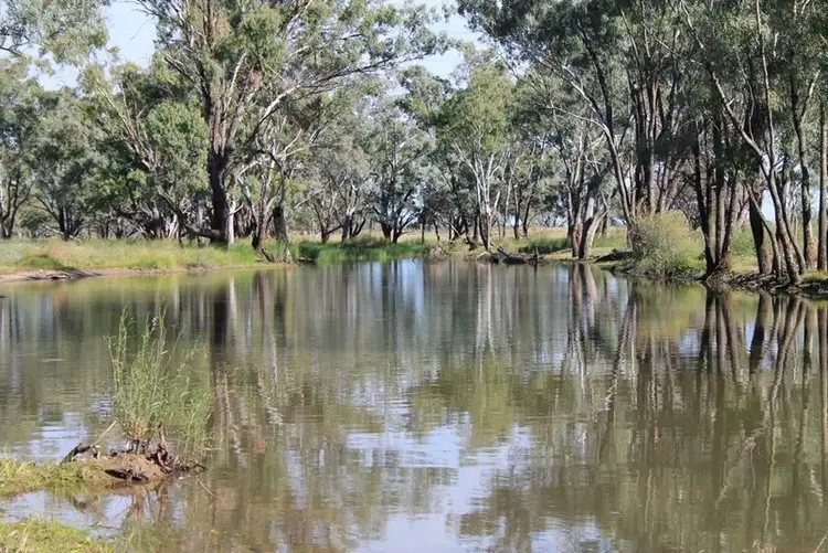Fourth view of Homely rural property listing, LOT 11 INGABY Road, St George QLD 4487