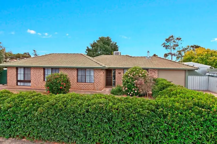 Main view of Homely house listing, 51 Borrow Street, Freeling SA 5372