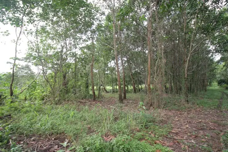 Fifth view of Homely rural property listing, Address available on request