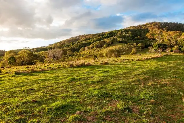 Sixth view of Homely rural property listing, 95 Maguires Lane, Cooran QLD 4569