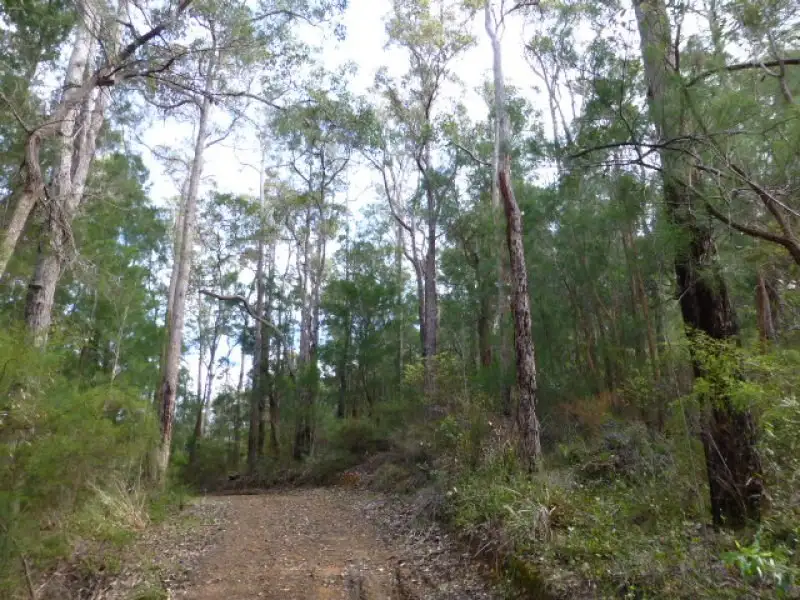 Main view of Homely land listing, 34 Boobook Close, Denmark WA 6333