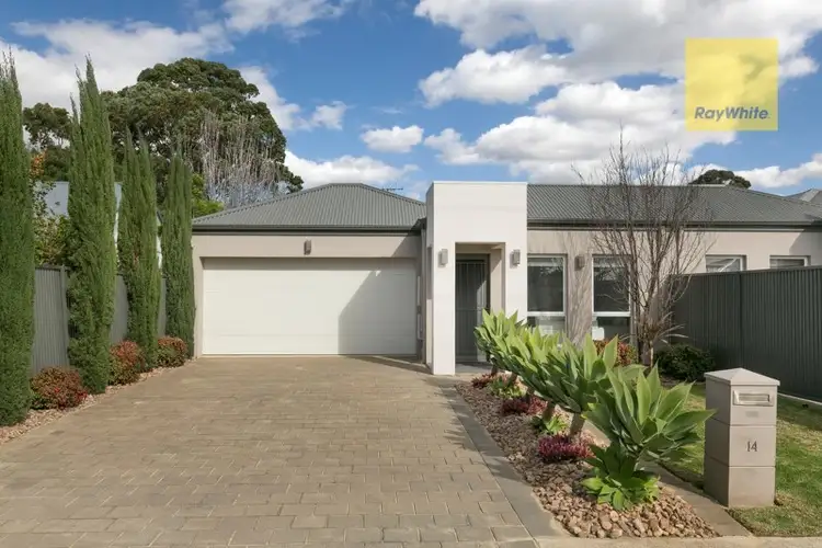 Main view of Homely house listing, 14 Stanley Street, Glengowrie SA 5044
