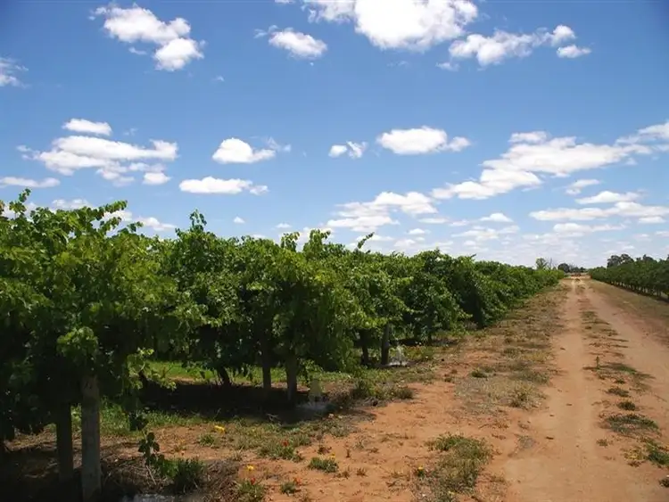 Second view of Homely land listing, Lot 101 Ral Ral Avenue, Renmark SA 5341