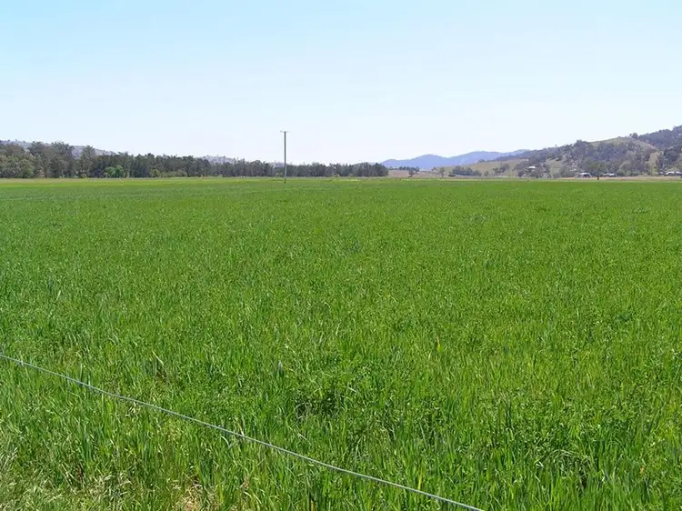 "Waukivory" Lots 12 - 14 Nundle Road, Woolomin NSW 2340
