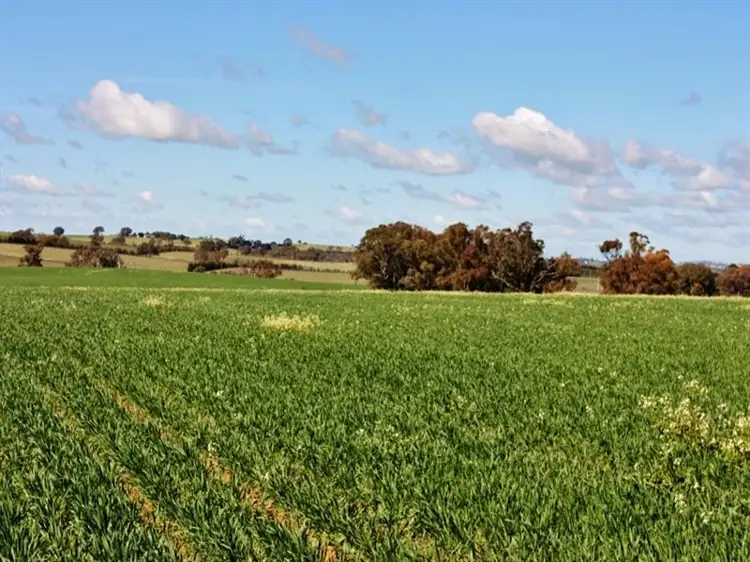 Fourth view of Homely land listing, Lot 94 Boundary Road, Young NSW 2594