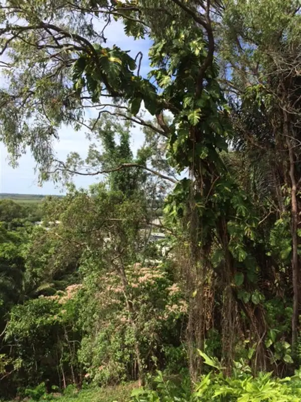 Fifth view of Homely land listing, 24 Behan Street, Stratford QLD 4870