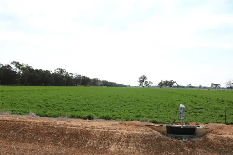 Sixth view of Homely rural property listing, 5500 Northern Highway, Elmore VIC 3558