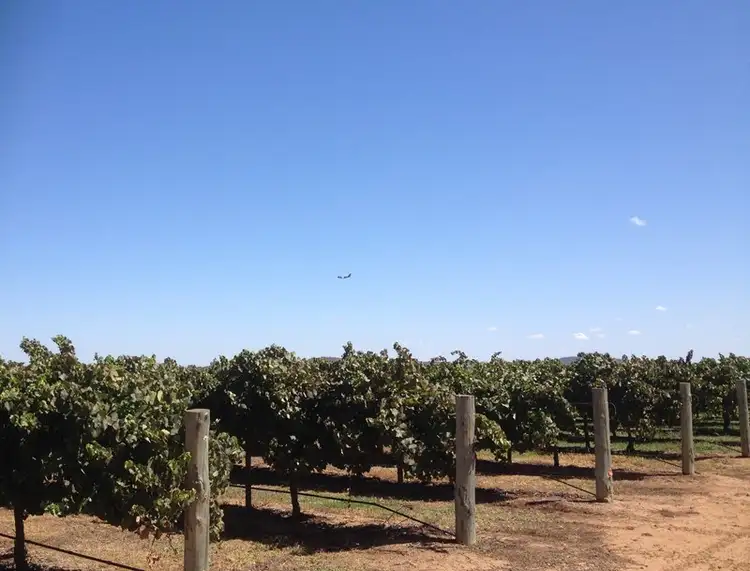 Farm 548B Moseley Road, Bilbul NSW 2680