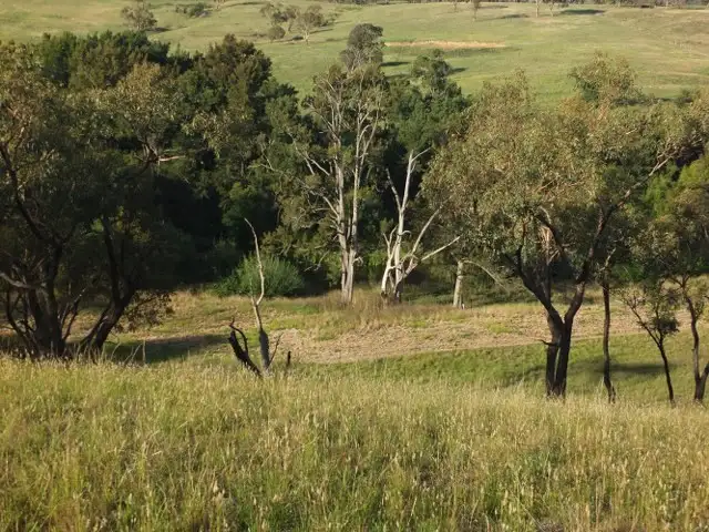 Seventh view of Homely land listing, Lot 2 Mutton Falls Road, Bathurst NSW 2795