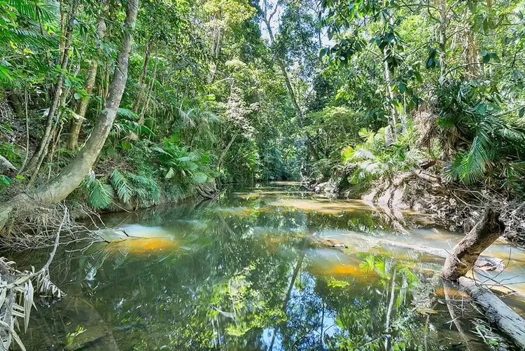 Lot 130 Black Mountain Road, Kuranda QLD 4881