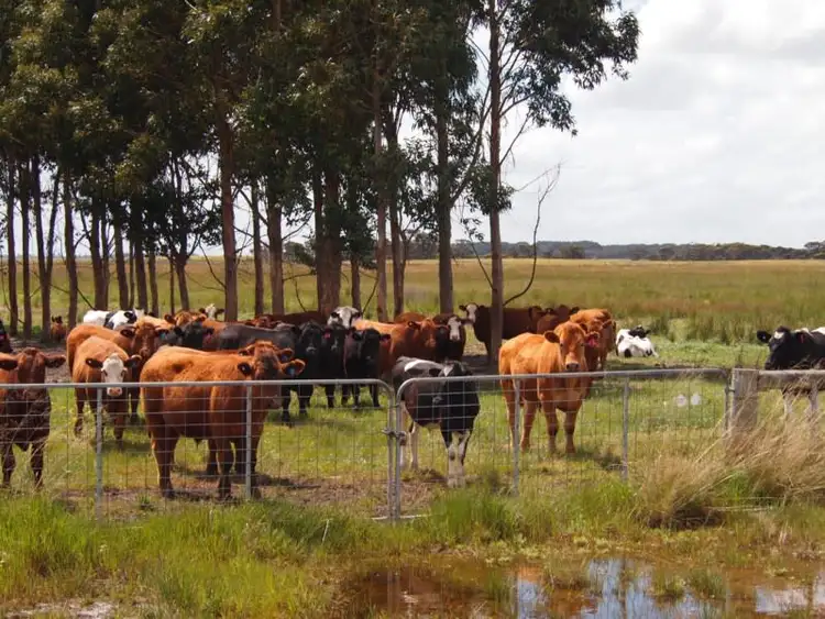 Fifth view of Homely rural property listing, Jim's Oven, Jim's Oven Road, Esperance WA 6450