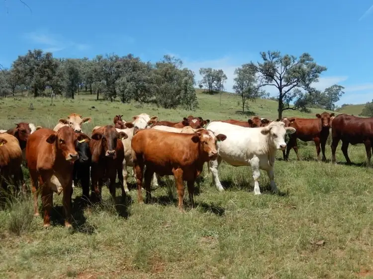 '' Emohta", Bingara NSW 2404