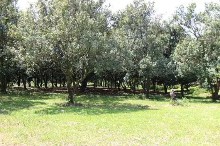 Fourth view of Homely rural property listing, 161 Fletcher Road, Dunoon NSW 2480