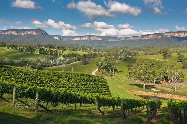 Dryridge Six Foot Track, Megalong NSW 2785