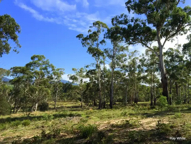 Seventh view of Homely rural property listing, 1901 Cooma Road, Braidwood NSW 2622