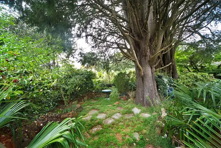 Seventh view of Homely house listing, 17 Brentwood Avenue, Blackheath NSW 2785