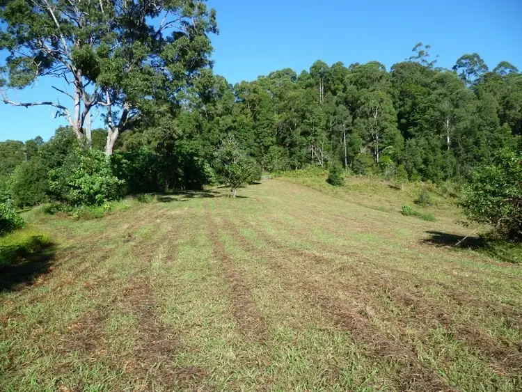 Sixth view of Homely rural property listing, 383 Zara Road, Tyalgum NSW 2484