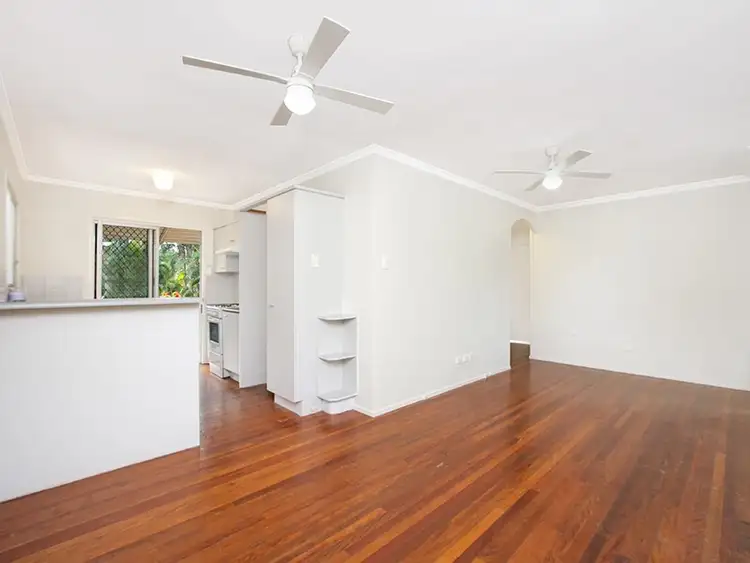 Third view of Homely house listing, 19 Lobelia Avenue, Daisy Hill QLD 4127
