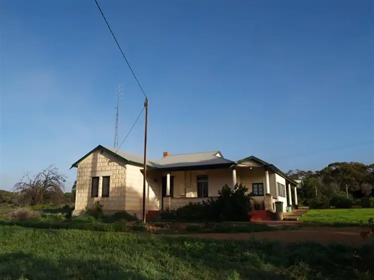 Main view of Homely house listing, 163 Pelican Point Road, Morgan SA 5320