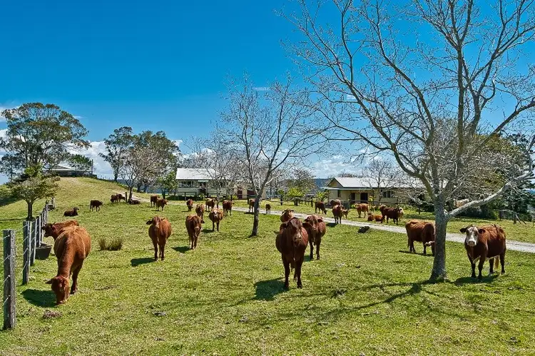 Third view of Homely rural property listing, 360 Hausmann Road, Mount Mee QLD 4521