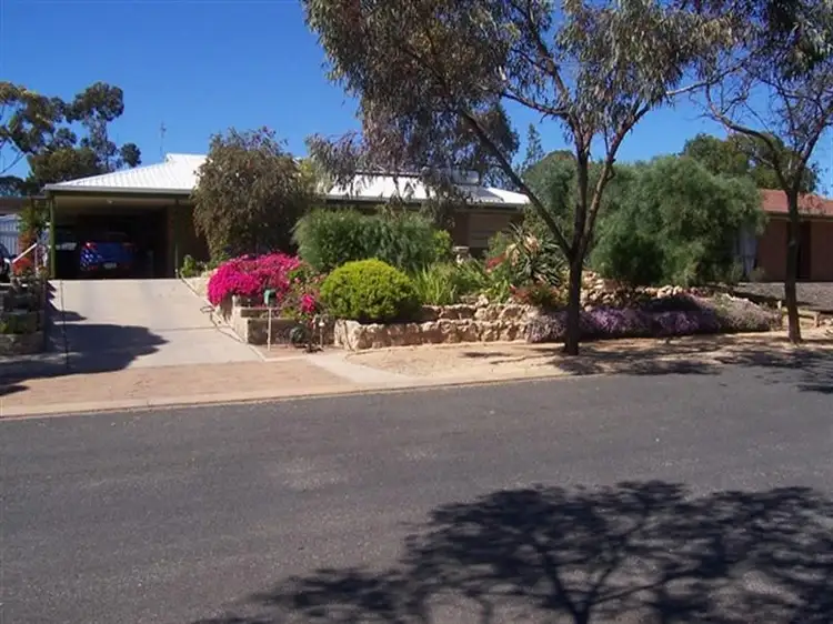 Main view of Homely house listing, 10 Kaesler Street, Loxton SA 5333
