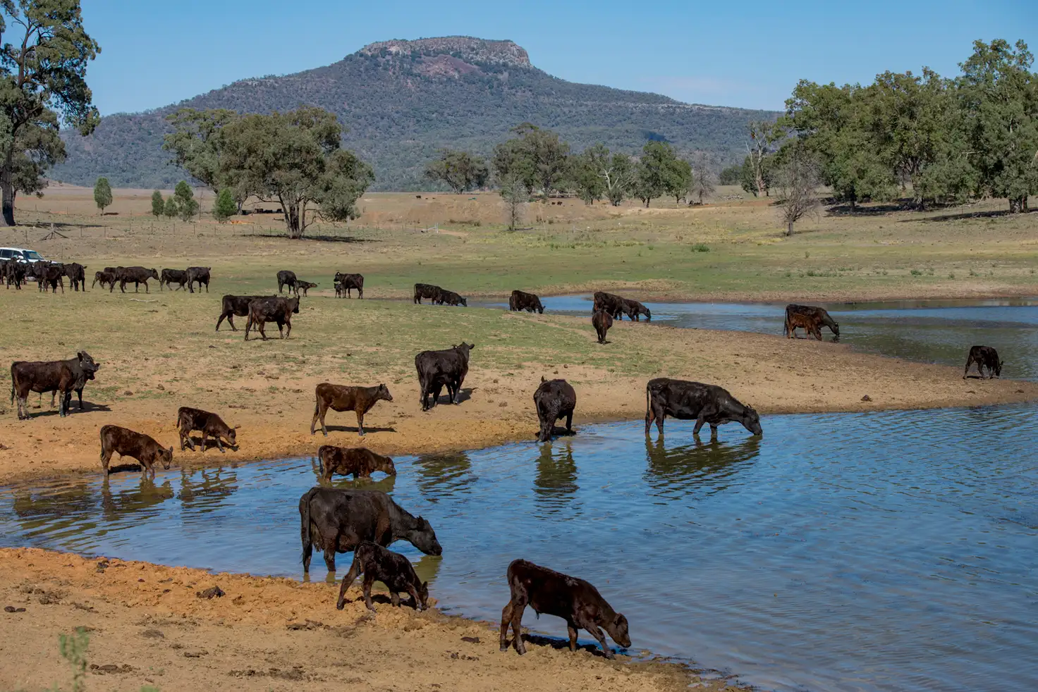 Main view of Homely rural property listing, ' MT BULLAWAY STATION', Coonabarabran NSW 2357