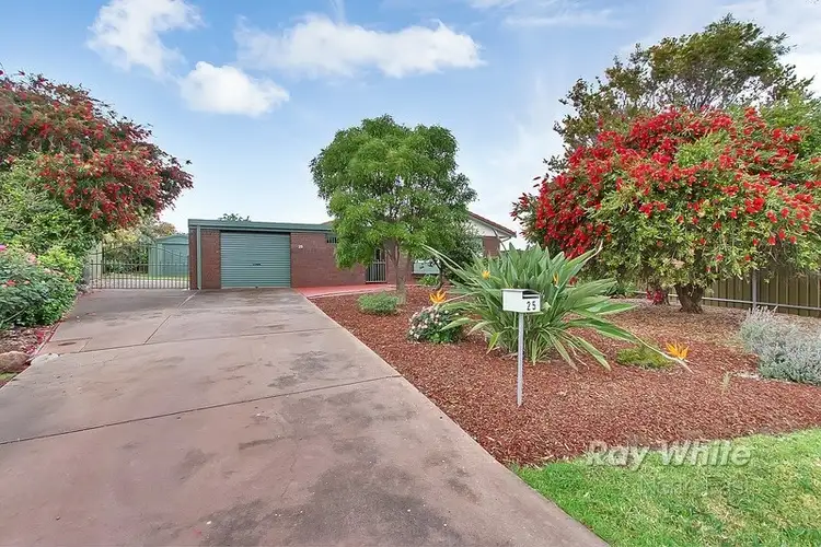25 Rose Crescent, Modbury North SA 5092