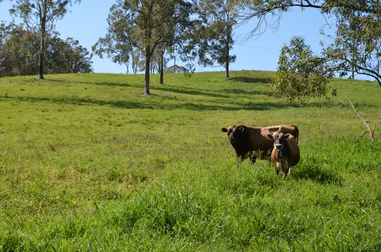Third view of Homely rural property listing, 2598 Eumundi Kenilworth Road, Kenilworth QLD 4574