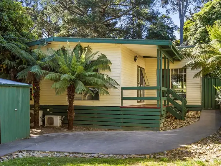 Main view of Homely house listing, 23 Elsie Street, Boronia VIC 3155