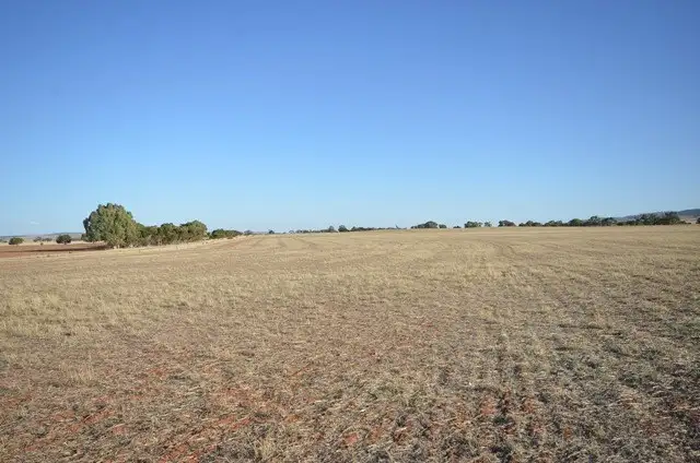 Fourth view of Homely rural property listing, HVandChimney Brady Creek and Kotz Road, Robertstown SA 5381