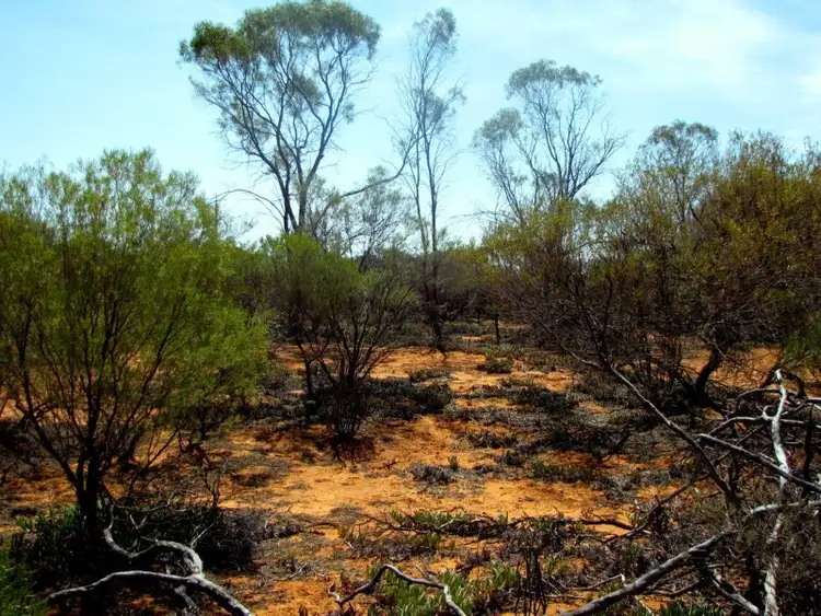 Seventh view of Homely land listing, Section 559 Sturt Highway, Monash SA 5342