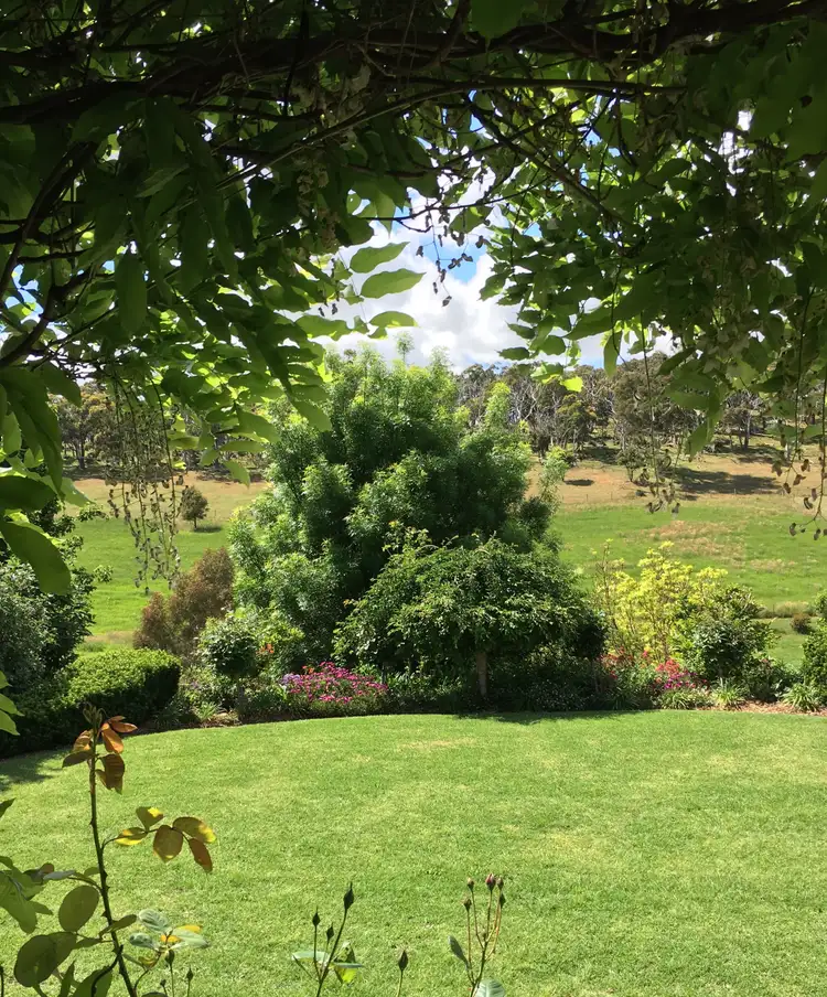 Seventh view of Homely rural property listing, 81 Totness Road, Hahndorf SA 5245