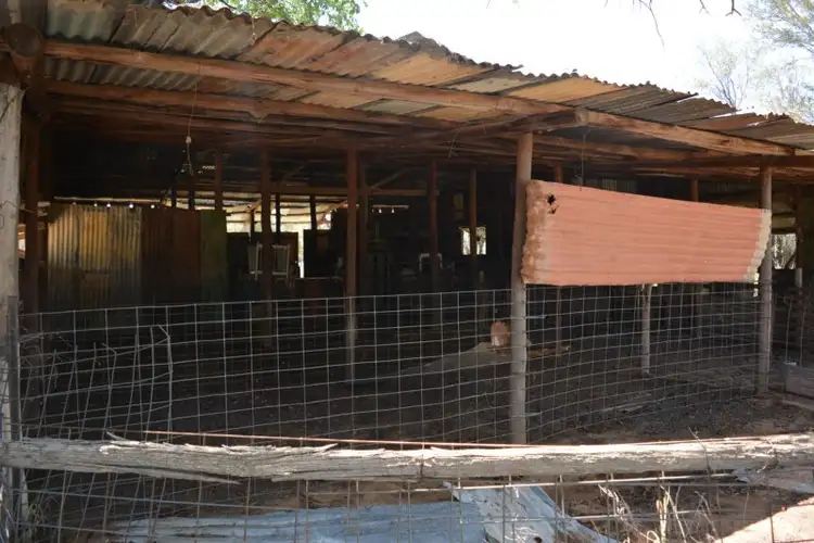 Seventh view of Homely rural property listing, 276 Glencoe Road, Blackall QLD 4472
