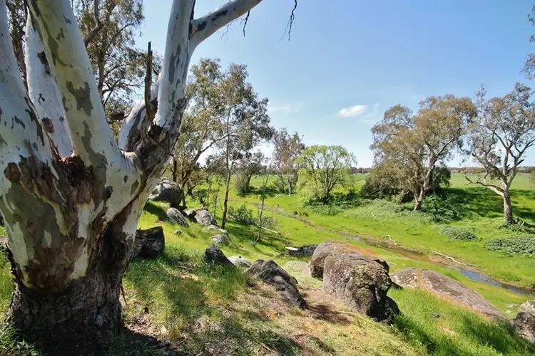 Second view of Homely house listing, 819 Monteagle Stock Route West, Young NSW 2594