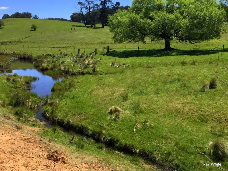 Fourth view of Homely rural property listing, 96 Tudor Valley, Braidwood NSW 2622