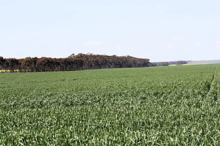 Fourth view of Homely rural property listing, 1000 Woorndoo-Sthreatham Road, Woorndoo VIC 3272