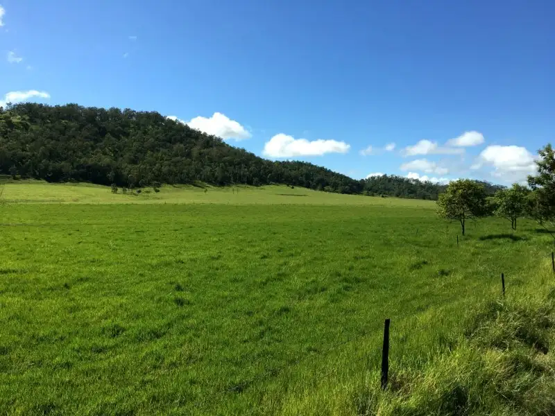 Main view of Homely rural property listing, 0 Owens Creek Loop Road, Gargett QLD 4741