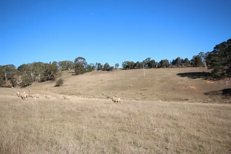 Sixth view of Homely rural property listing, 179 Chatham Valley Road, Oberon NSW 2787