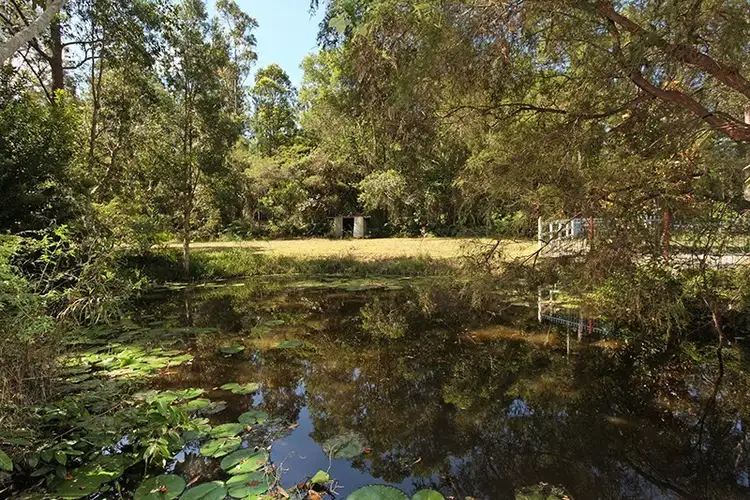 Fourth view of Homely house listing, 69 Eudlo Flats Road, Diddillibah QLD 4559