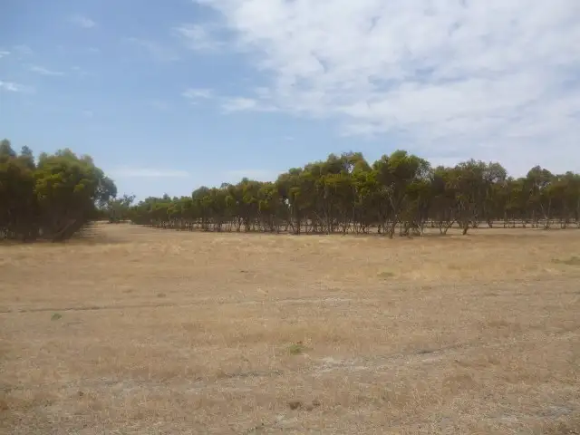 Seventh view of Homely land listing, L2146 Washington Road, Katanning WA 6317