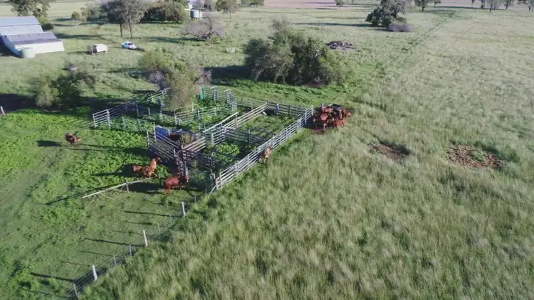 Fourth view of Homely rural property listing, 335 Clifton Road, Pittsworth QLD 4356