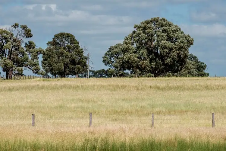 Third view of Homely rural property listing, 1 Plainlands, Dalby QLD 4405