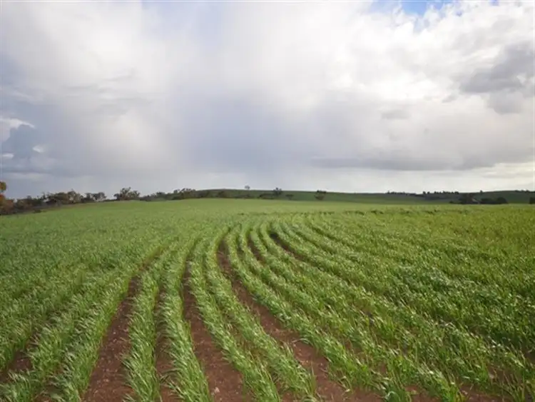 Second view of Homely rural property listing, Various Secs Windy Loop Road, Yacka SA 5470