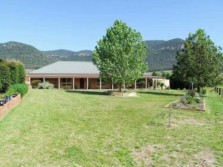 Main view of Homely rural property listing, 324 Doyles Creek Road, Singleton NSW 2330