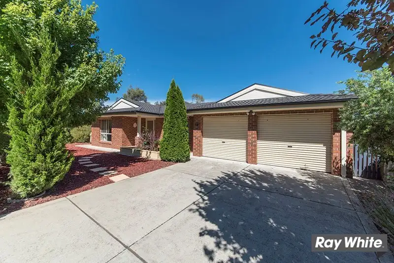 Main view of Homely house listing, 19 Pedrail Place, Dunlop ACT 2615