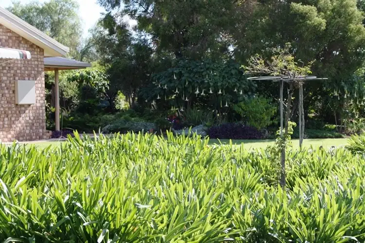 Seventh view of Homely rural property listing, 1128 Goomburra Road, Goomburra QLD 4362