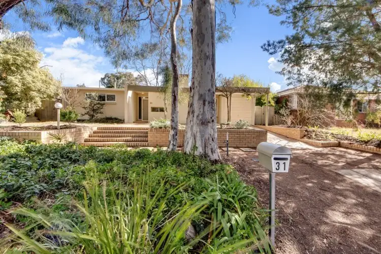 31 Liverpool Street, Macquarie ACT 2614