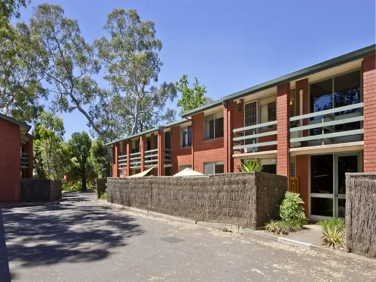 31/62 William Street, Norwood SA 5067