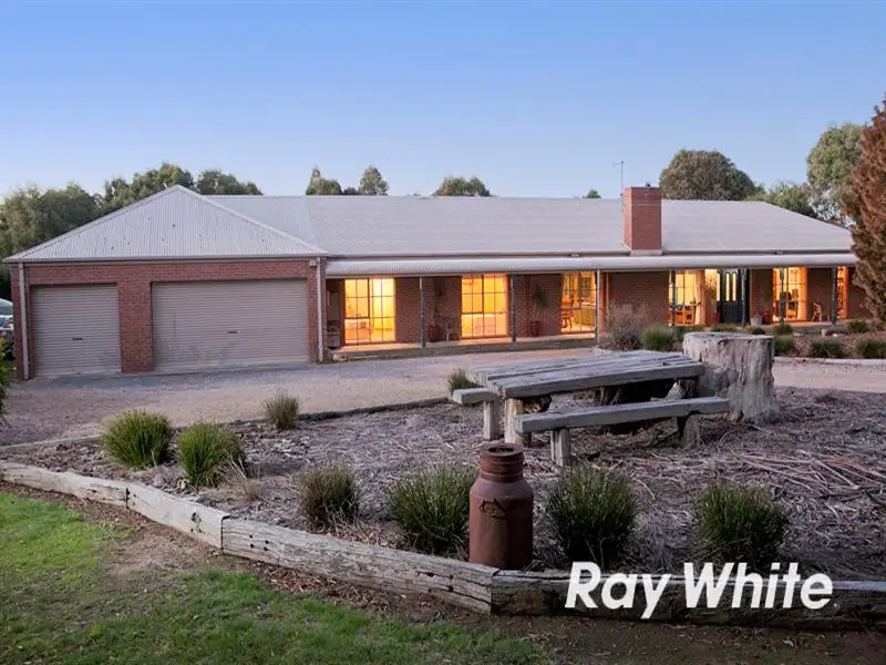 Main view of Homely house listing, 16 Gerards Way, Tyabb VIC 3913